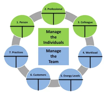 A ring of seven labelled steps — person, professional, colleague, workload, energy levels, customers and practices — around a centre reading “Manage the individuals, manage the team”.