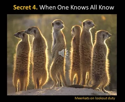 A slide headed “Secret 4. When One Knows All Know”, showing a group of meerkats standing upright, captioned “Meerkats on lookout duty”.