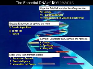 The Essential DNA of Bioteams diagram: four zones of team behaviour, each with three rules.