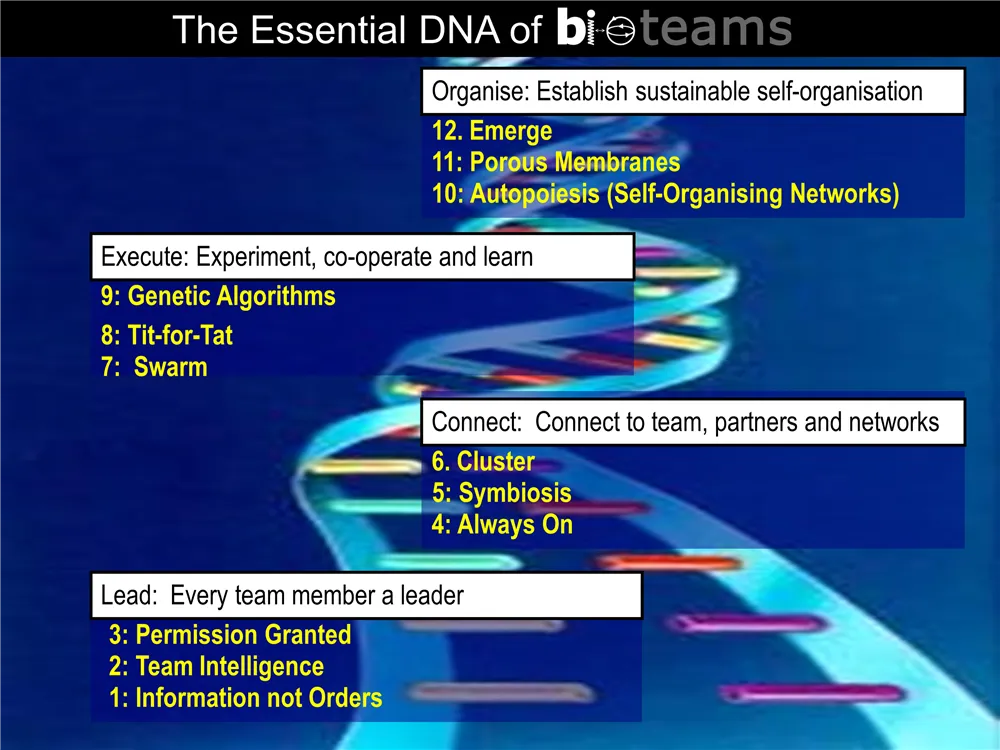 The Essential DNA of Bioteams: a DNA helix labelled with four zones — Lead, Connect, Execute and Organise — each listing three of the twelve bioteam rules, from ‘Information not Orders’ through to ‘Emerge’.