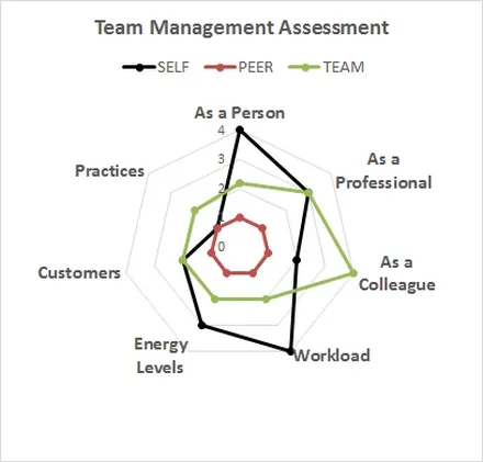 A radar chart of a team management assessment, plotting self, peer and team scores across seven dimensions: as a person, as a professional, as a colleague, workload, energy levels, customers and practices.