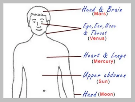 A hand-drawn outline of a human figure with body parts labelled by planet: head and brain as Mars, eye, ear, nose and throat as Venus, heart and lungs as Mercury, upper abdomen as the Sun, and hand as the Moon.