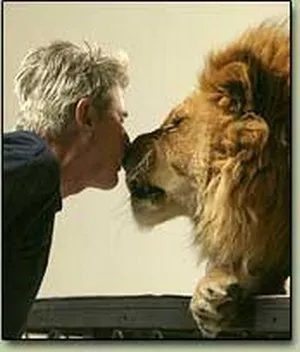 A man leaning in nose to nose with a full-grown lion.