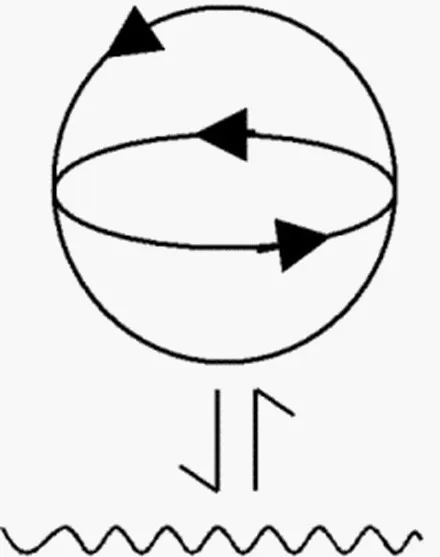 A diagram of a sphere with arrows circling it in two planes, above a downward arrow and a wavy line, representing a living system responding to its environment.