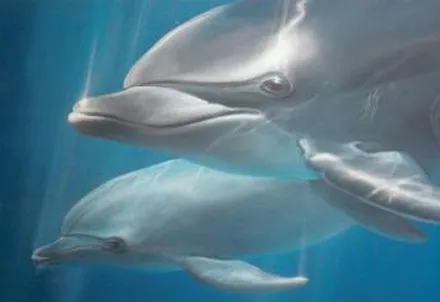 Three dolphins swimming together in close formation underwater.